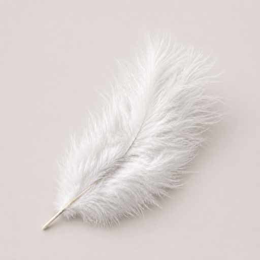 Plumes